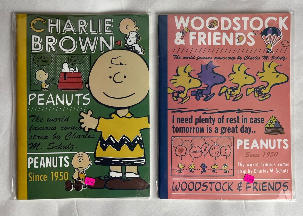 B5 Snoopy Profesional Cuaderno De Tapa Dura Multicolor