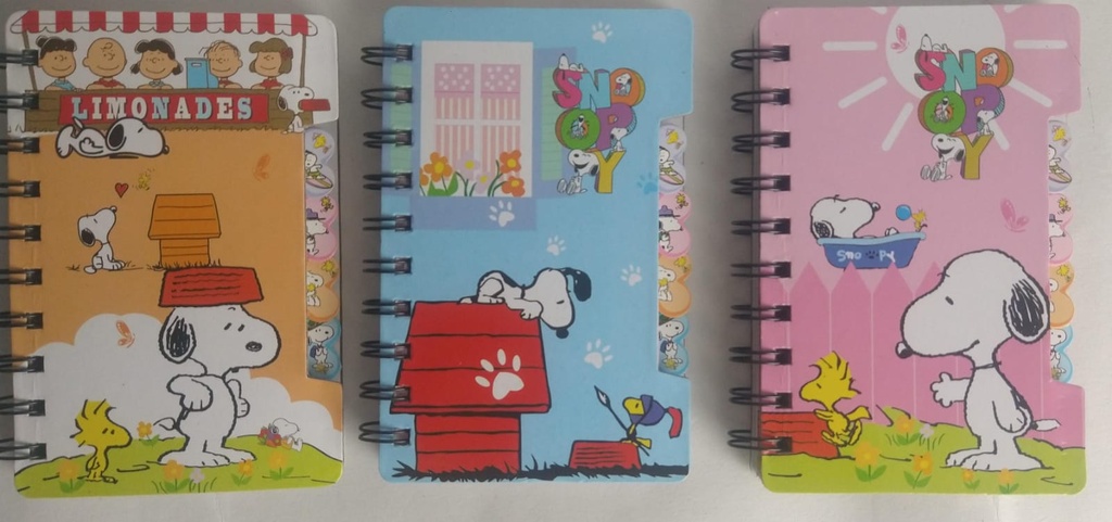 Mini Libretita Snoopy