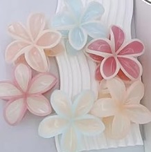 PINZAS HAWAIANA 